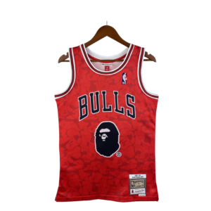 BAPE X CHICAGO BULLS SPECIAL EDITION