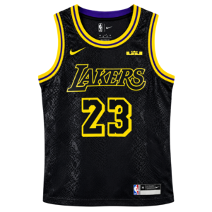 LEBRON JAMES x LOS ANGELES LAKERS JERSEY NBA
